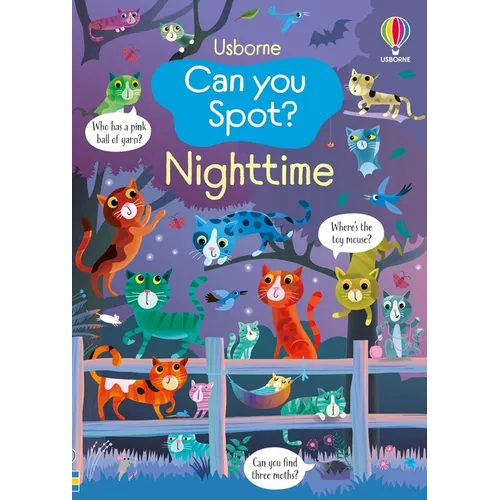 Can You Spot? Nighttime - Paperback