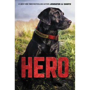 Hero - Paperback