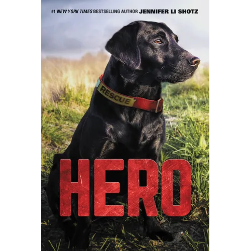 Hero - Paperback