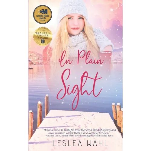 In Plain Sight - Paperback