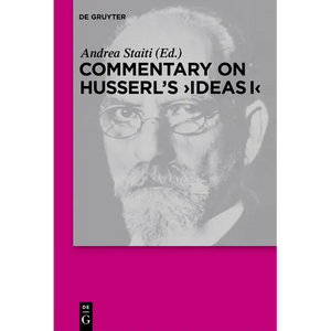 Commentary on Husserl's Ideas I - Paperback