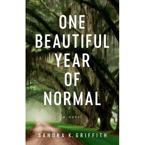 One Beautiful Year of Normal - Paperback