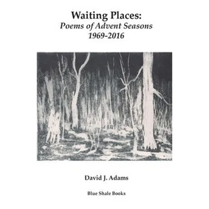 Waiting Places: Poems of Advent Seasons 1969-2016 - Paperback