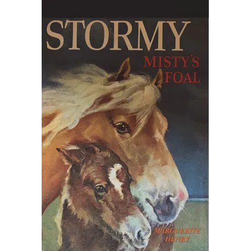 Stormy, Misty's Foal - Paperback
