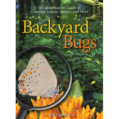Backyard Bugs: An Identification Guide to Common Insects, Spiders, and More - Paperback