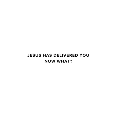 Jesus Has Delivered You (now what?) - Paperback
