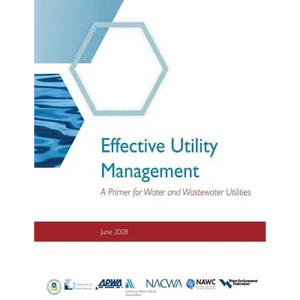 Effective Utility Management: A Primer for Water and Wastewater Utilities - Paperback