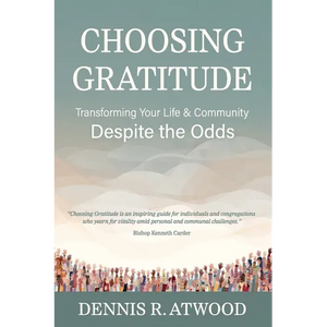 Choosing Gratitude: Transforming Your Life & Community Despite the Odds - Paperback