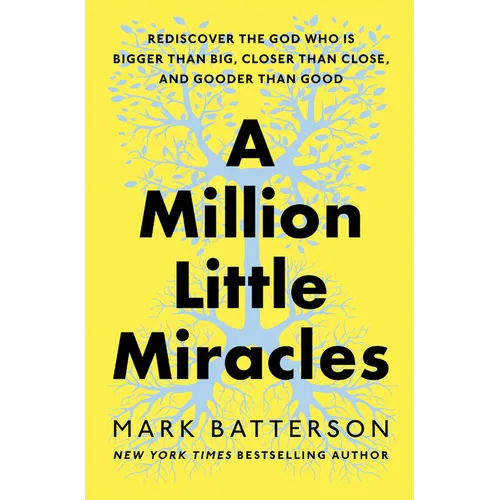 A Million Little Miracles: Rediscover the God Who Is Bigger Than Big, Closer Than Close, and Gooder Than Good - Paperback