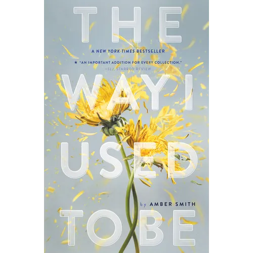 Way I Used to Be - Paperback