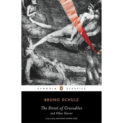 The Street of Crocodiles and Other Stories - Paperback