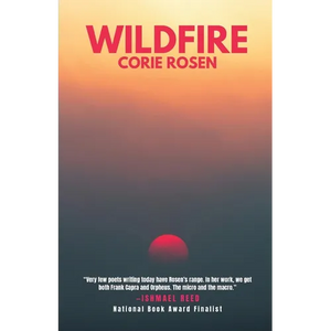 Wildfire - Paperback