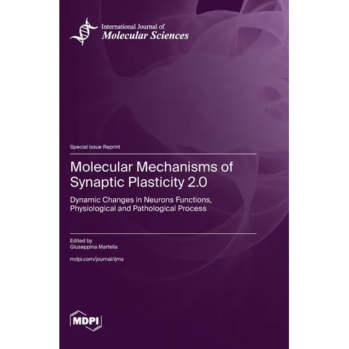 Molecular Mechanisms of Synaptic Plasticity 2.0: Dynamic Changes in Neurons Functions, Physiological and Pathological Process - Hardcover
