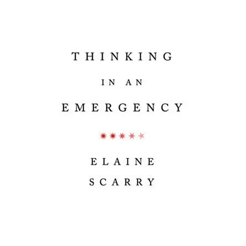 Thinking in an Emergency - Paperback