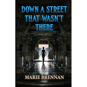 Down a Street That Wasn't There - Paperback