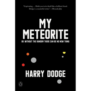 My Meteorite: Or, Without the Random There Can Be No New Thing - Paperback