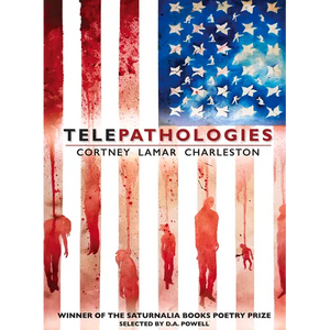 Telepathologies - Paperback