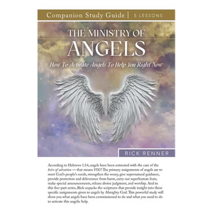 The Ministry of Angels Study Guide - Paperback