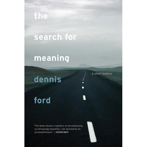 The Search for Meaning: A Short History - Paperback