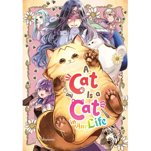 A Cat Is a Cat in Any Life - Paperback