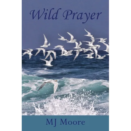 Wild Prayer - Paperback