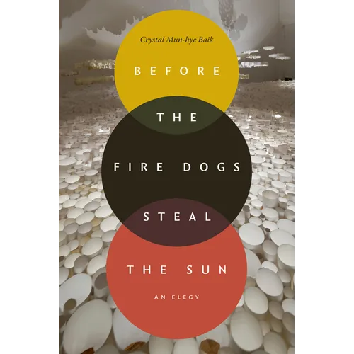 Before the Fire Dogs Steal the Sun: An Elegy - Paperback
