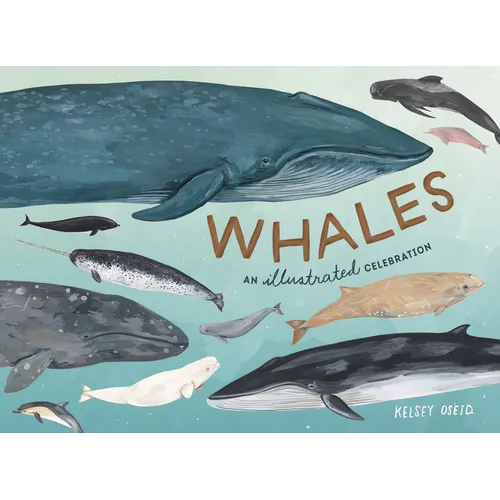 Whales: An Illustrated Celebration - Hardcover