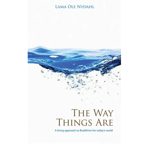 The Way Things Are: A Living Approach to Buddhism - Paperback