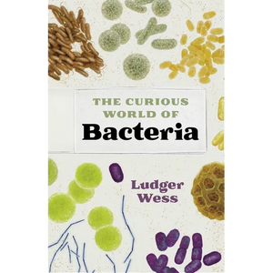 The Curious World of Bacteria - Hardcover