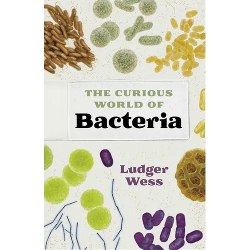 The Curious World of Bacteria - Hardcover