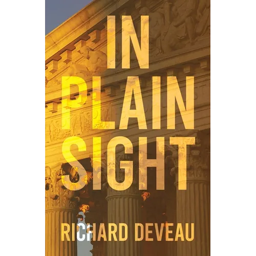 In Plain Sight - Paperback