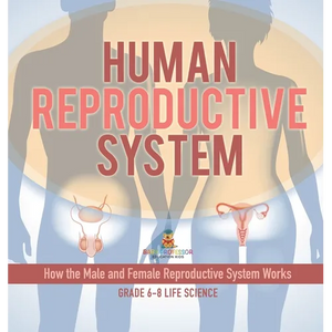 Human Reproductive System How the Male and Female Reproductive System Works Grade 6-8 Life Science - Hardcover