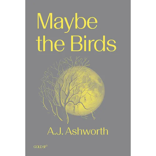 Maybe the Birds - Paperback