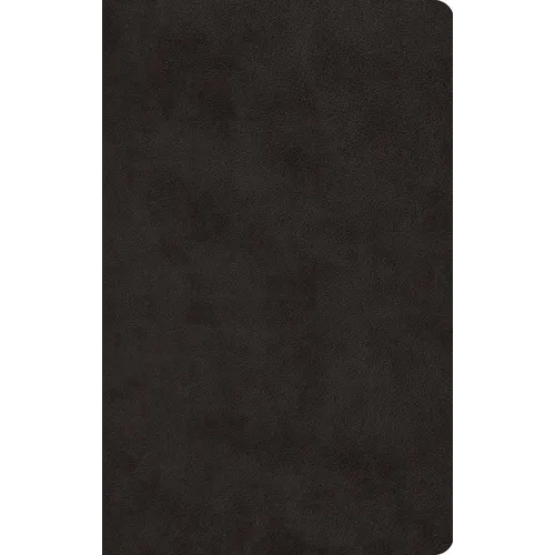 ESV Large Print Value Thinline Bible (Trutone, Black) - Imitation Leather