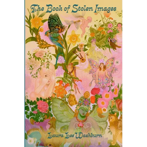 The Book of Stolen Images - Paperback