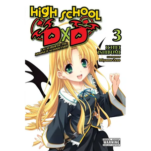 High School DXD, Vol. 3 (Light Novel): Excalibur of the Moonlit Schoolyard Volume 3 - Paperback