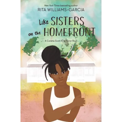 Like Sisters on the Homefront - Paperback