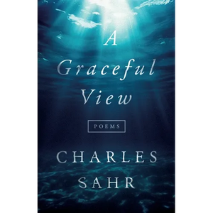 A Graceful View - Paperback