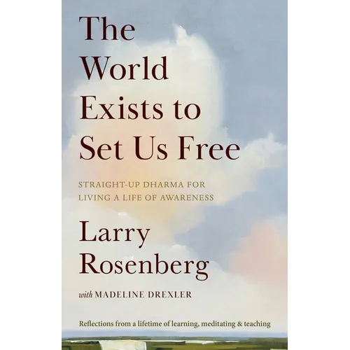 The World Exists to Set Us Free: Straight-Up Dharma for Living a Life of Awareness - Paperback