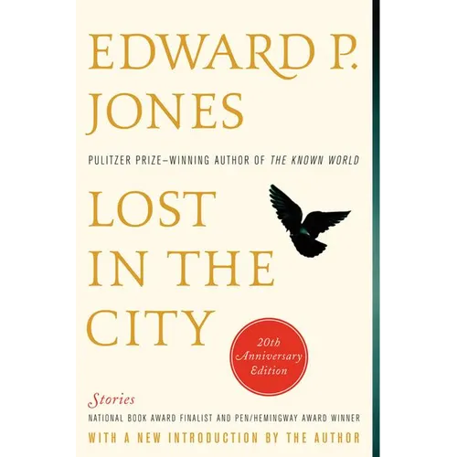 Lost in the City: Stories - Paperback