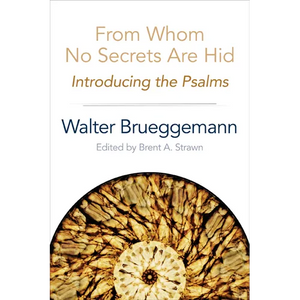 From Whom No Secrets Are Hid: Introducing the Psalms - Paperback