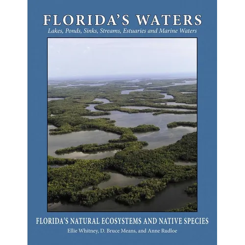 Florida's Waters - Paperback