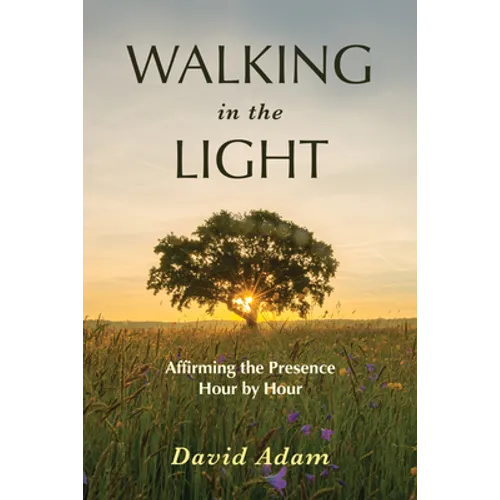 Walking in the Light: Affirming the Presence Hour by Hour - Paperback