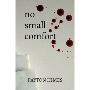 no small comfort - Paperback