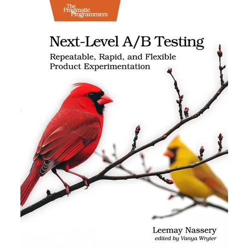 Next-Level A/B Testing: Repeatable, Rapid, and Flexible Product Experimentation - Paperback