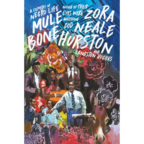 Mule Bone: A Comedy of Negro Life - Paperback