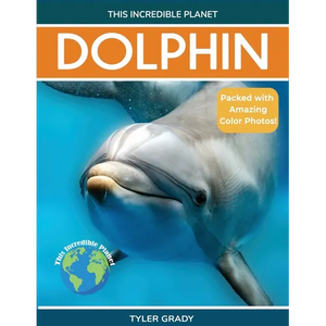 Dolphin: Fascinating Animal Facts for Kids - Paperback