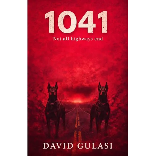1041 - Paperback