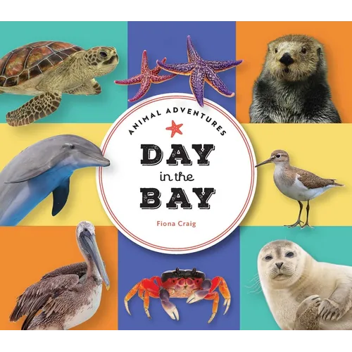 Animal Adventures: Day in the Bay - Board Book