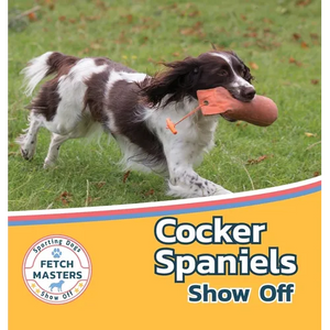 Cocker Spaniels Show Off - Hardcover